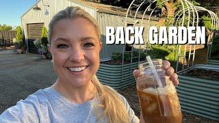 Working in the Back Garden this Morning! (with a little help from coffee ️)