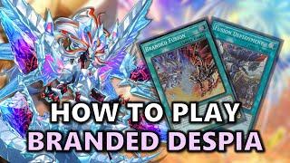 How to Play Branded Despia Post April 2024 Ban List | Basic Combos | Resolve Branded Fusion!