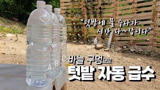 텃밭에 물 주다가 시간 다~~ 갑니다!! 돈 안 들이고 '바늘 구멍' 하나로 텃밭 자동 급수 ! 준비물은 페트병과 바늘, 테이프