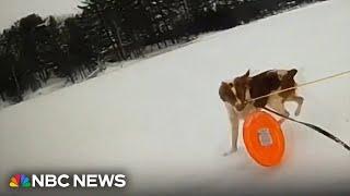 Dog helps Michigan police rescue owner from icy lake