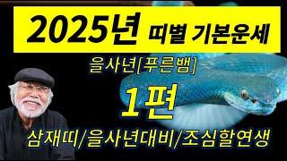 2025[을사년] 기본운세특집 1부 #을사년 #2025년운세 #푸른뱀 #이달의운세 #신년운세 #무료운세 #왕파tv #삼재 #삼재띠 #삼재풀이 #토끼띠 #양띠 #돼지띠