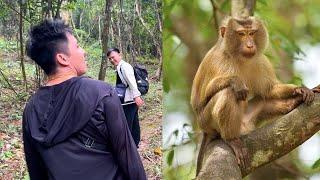 No Miracle Happened! Dad still hasn't seen Monkey Kaka appear