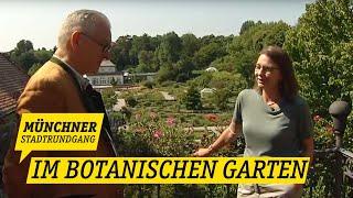 Im Botanischen Garten