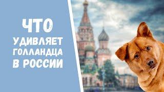 4 вещи, которых нет в Голландии, но есть в России