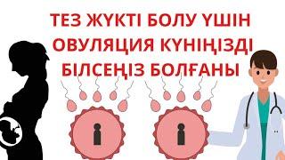 ТЕЗ ЖҮКТІ БОЛУ ҮШІН не істеу керек/ОВУЛЯЦИЯ КҮНДЕРІ