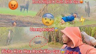 Rock Nilgai K Picha Bhagta Hua Khi Gayab HogyaSb Jagha Dhund LeaUnexpected Day@ritikdoglover8914