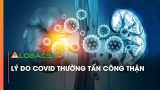 Lý Do Covid-19 Thường Tấn Công Thận | Video AloBacsi