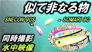 同時水中映像【スネコン90S ソマリ90】ワイドS字 アクションの 人気シーバス ルアーのアクション比較！blueblue SNECON　ima SOMARI