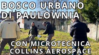 BOSCO URBANO DI PAULOWNIA CON MICROTECNICA - COLLINS AEROSPACE