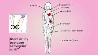 Nácvik uvolnění lymfatických uzlin před domácí lymfoterapií