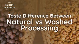 Tasting the difference between natural and washed coffee