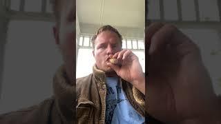 Cigar Review 255: Acid Cold Infusion