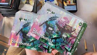 Two Best Bloomburrow Collector Boxes I Opened