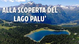 Alla scoperta del Lago Palù