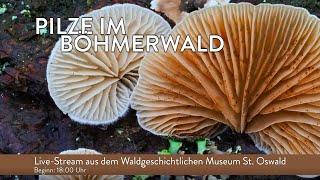 Pilze des Böhmerwaldes - Wissenschaftlicher Vortrag