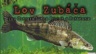 Lov Zubáča/Candáta na rybku/Lov na Prívlač 2024 #raubfisch #zanderfishing #underwater