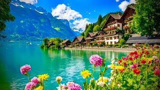 Iseltwald SwitzerlandMost Stunning Swiss Village Walking Tour