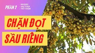 CHẶN ĐỌT Sầu Riêng Nhanh, An Toàn, Tiết Kiệm Chi Phí