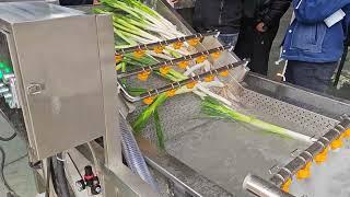 Green onion cleaning machine, Leeks  washer machine ,Leaf vegetable washer machine