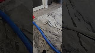 carpet cleaning 647-502-5008 www.exclusivehomeservices.ca