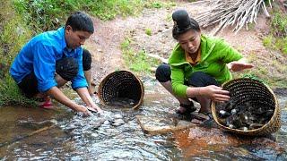 Harvesting Mussels, Picking up Snails to Bring to the Market to Sell, Fertilizing the Rice Fields