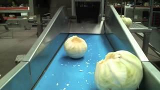Cabbage decoring Machine