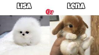 Lisa or Lena (animals edition).