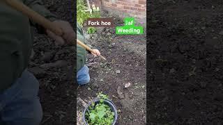 Hand weeding with Jafthegardener #weeding #weedstagram #weeds #gardener #gardening #gardeningtools