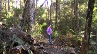 Mt. Montgomery/ShotgunValley hike, fun in the Sun