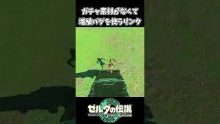 【ティアキン】ガチャ素材がなくて増殖バグを使うリンク【ゼルダの伝説 ティアーズ オブ ザ キングダム】