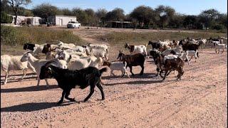 LOS PUEBLOS DE Santiago del Estero  Otumpa, Aerolito, Alhuampa, Miraval, Haase y Tintina