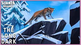 I let the Cougar in - The Long Dark (Stalker Survival Mode)