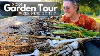 2024 Garden Tour Week Nine: GARLIC Harvest & Bagged Soil Chat