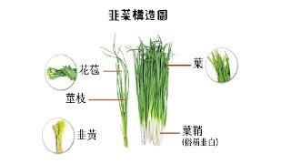 20250112 上詮(開司頻道單日最大虧損)、有人敲碗：【順德、燿華、山林水(新纖)】。