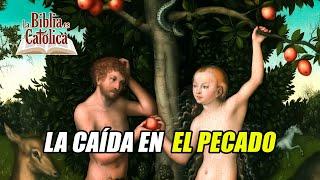 Historia de la Salvación 3: LA CAÍDA EN EL PECADO ORIGINAL