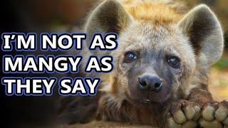 Hyena facts: world's best moms | Animal Fact Files