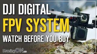 DJI FPV System OR Fat Shark Byte Frost - BEFORE YOU BUY (Buyers Guide)