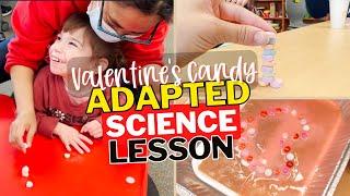 Friday Funday Science | Adapted Science in a Special Education Classroom