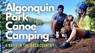 Canoe Camping - Moose, Fishing, Catch & Cook Trout: 3 Days in Algonquin Park