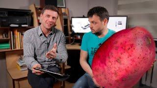 "Как вылечить язву желудка картошкой за 10 дней" смотрит врач гастроэнтеролог