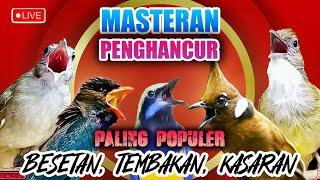 #4 MASTERAN MURAI BATU FULL ISIAN TEMBAKAN - PANCINGAN GACOR SEBELUM LOMBA ‼️