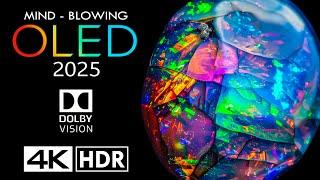 MIND-BLOWING 2025 OLED  4K 60fps HDR Dolby Vision - 4K Video