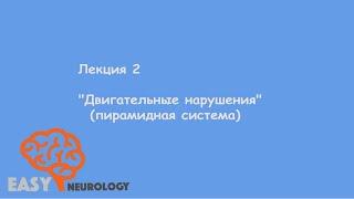 Общая неврология. Лекция 2 "Двигательные нарушения" (пирамидная система)