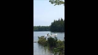 Moving plants by canoe