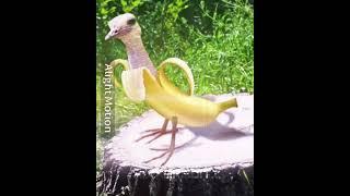 BANANA BIRD