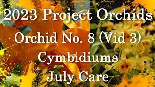 2023 Project Orchids - Cymbidiums - Vid 3