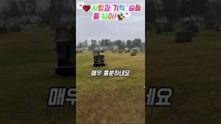 "사랑과 기억, 슬픔을 넘어!", "️누군가의 기억을 소중히!️"