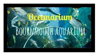 oceanarium -underwater experience-sea creatures