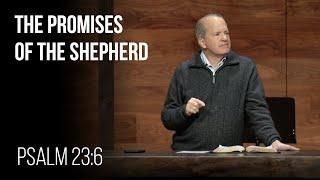 The Promises of the Shepherd