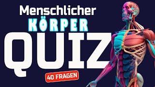 Allgemeinwissen Körper - Der Menschliche Körper Quiz | 40 Fragen zu Medizin und Gesundheit